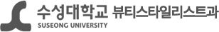 수성대학교  logo