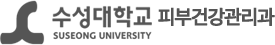 수성대학교  logo
