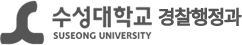 수성대학교  logo