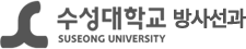 수성대학교  logo