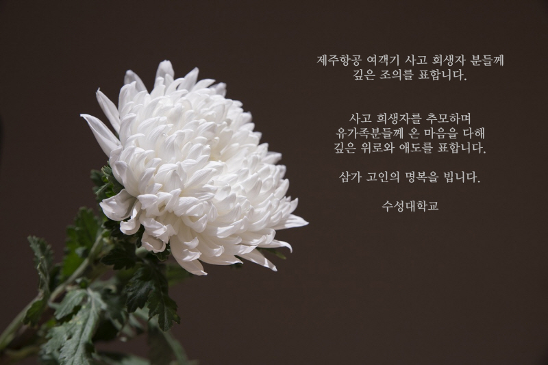 제주항공 여객기 사고 희생자 분들께 깊은 조의를 표합니다.